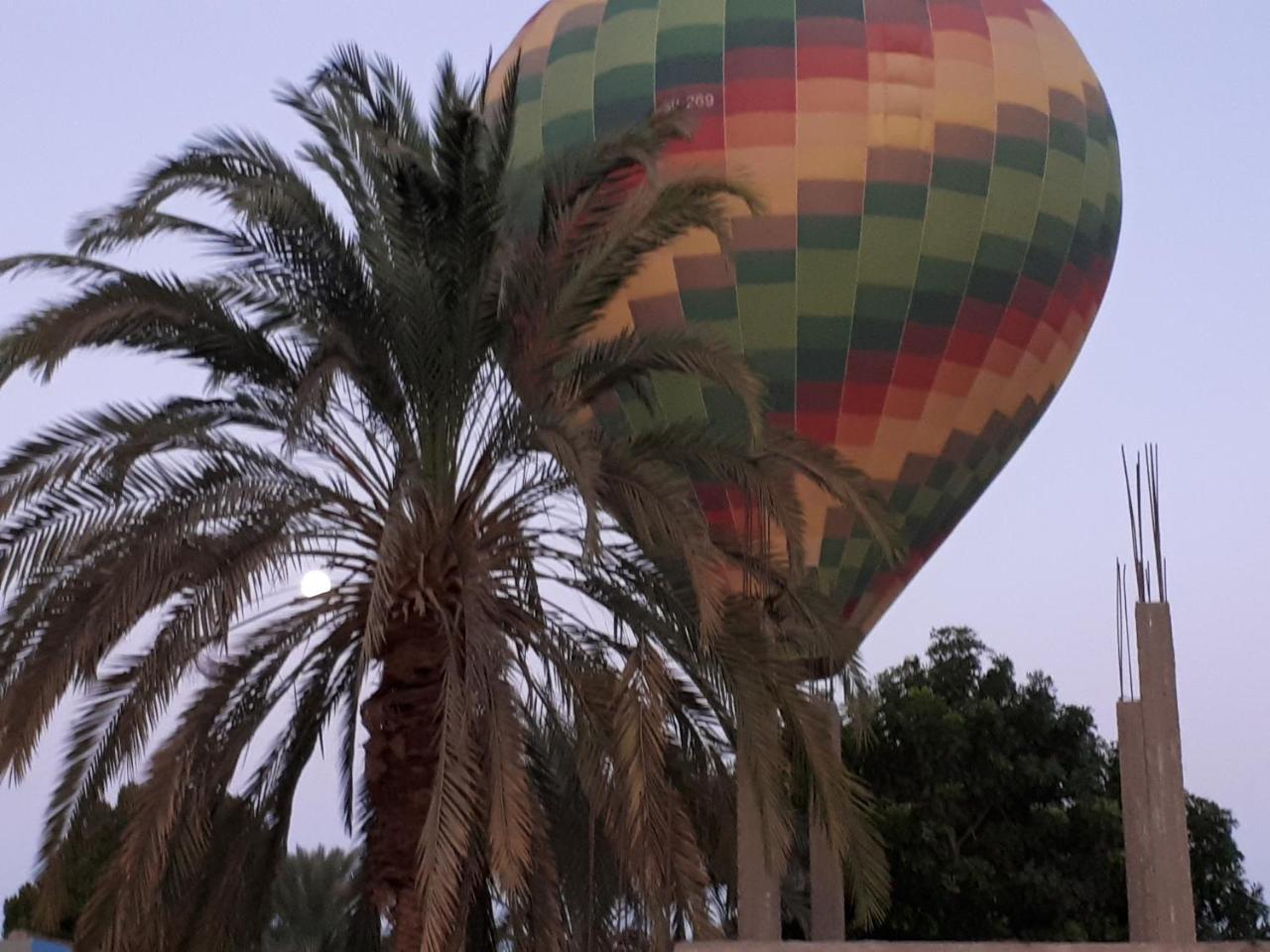 Sunflower Guest House Luxor West Bank Exterior photo