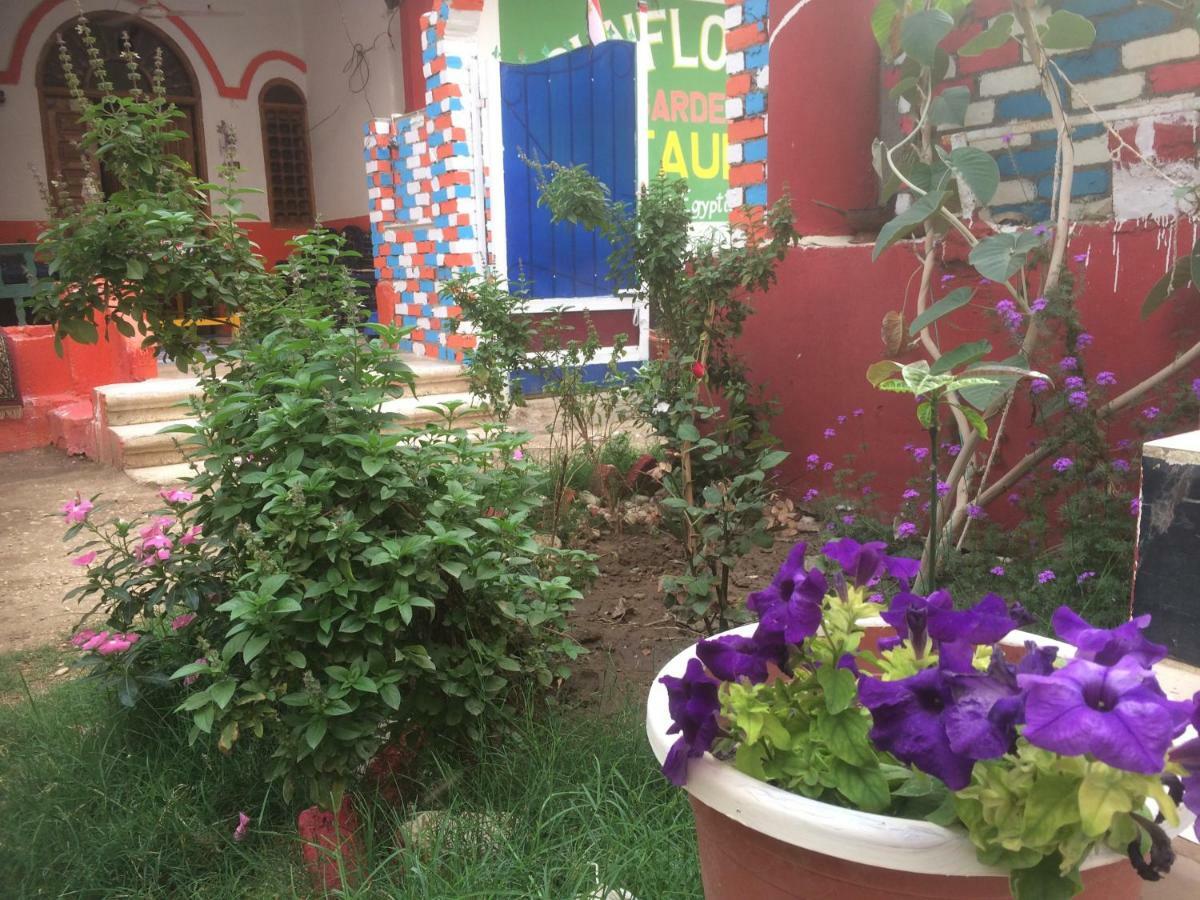 Sunflower Guest House Luxor West Bank Exterior photo